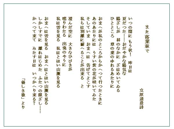 落葉林